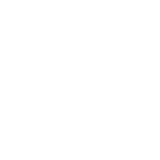 vison